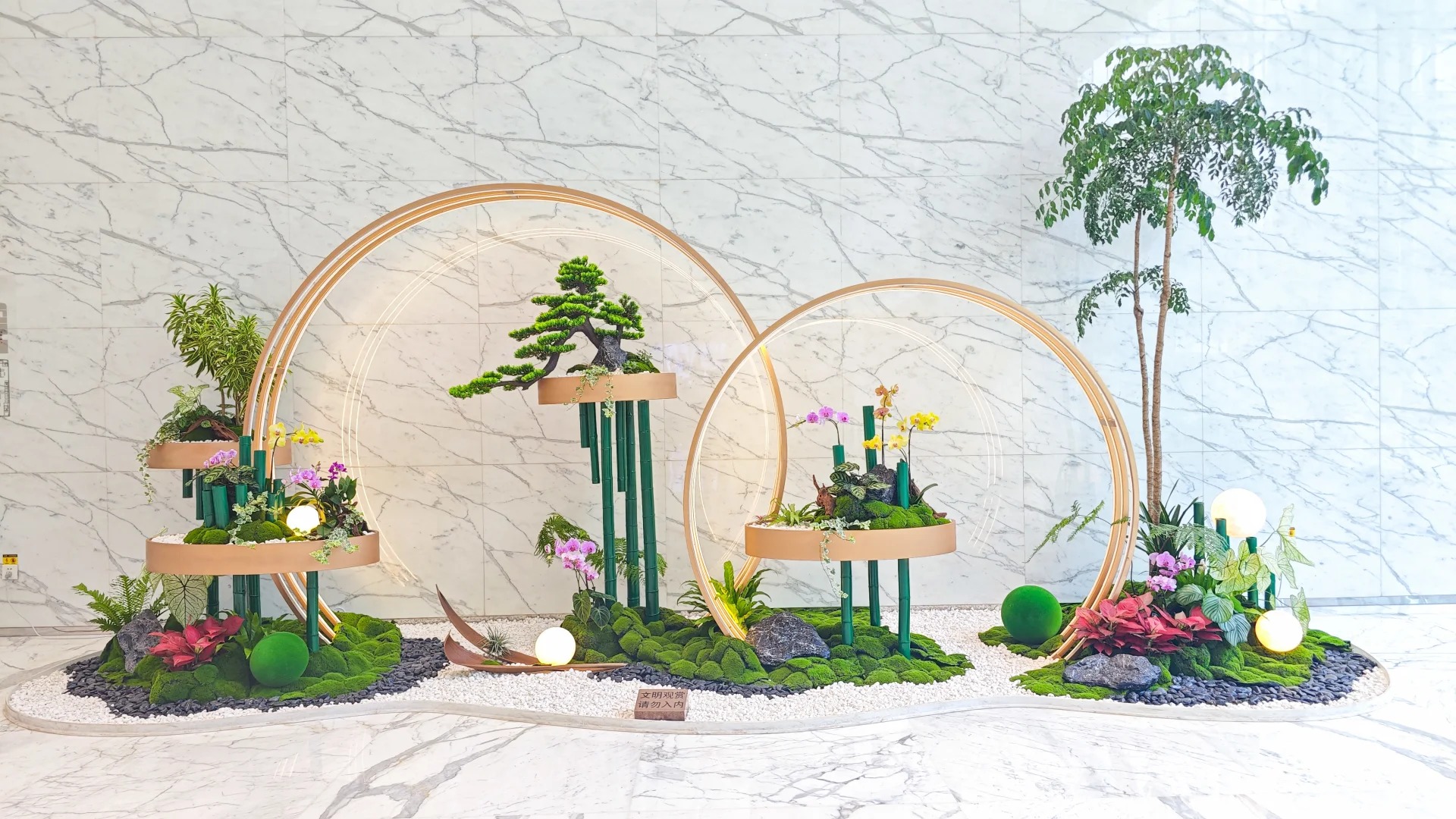 江北绿植出租专业 江北绿植出租专业